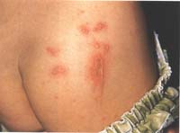 f12.jpg (10894 �Ӧ줸��)