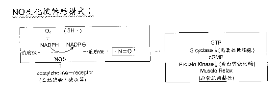 nof.GIF (2631 bytes)