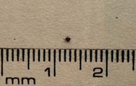 fi6.jpg (11038 Ӧ줸)